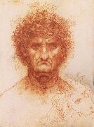 LEONARDO da Vinci Buste one frontal to seeing man and head of a Lowen Spain oil painting artist